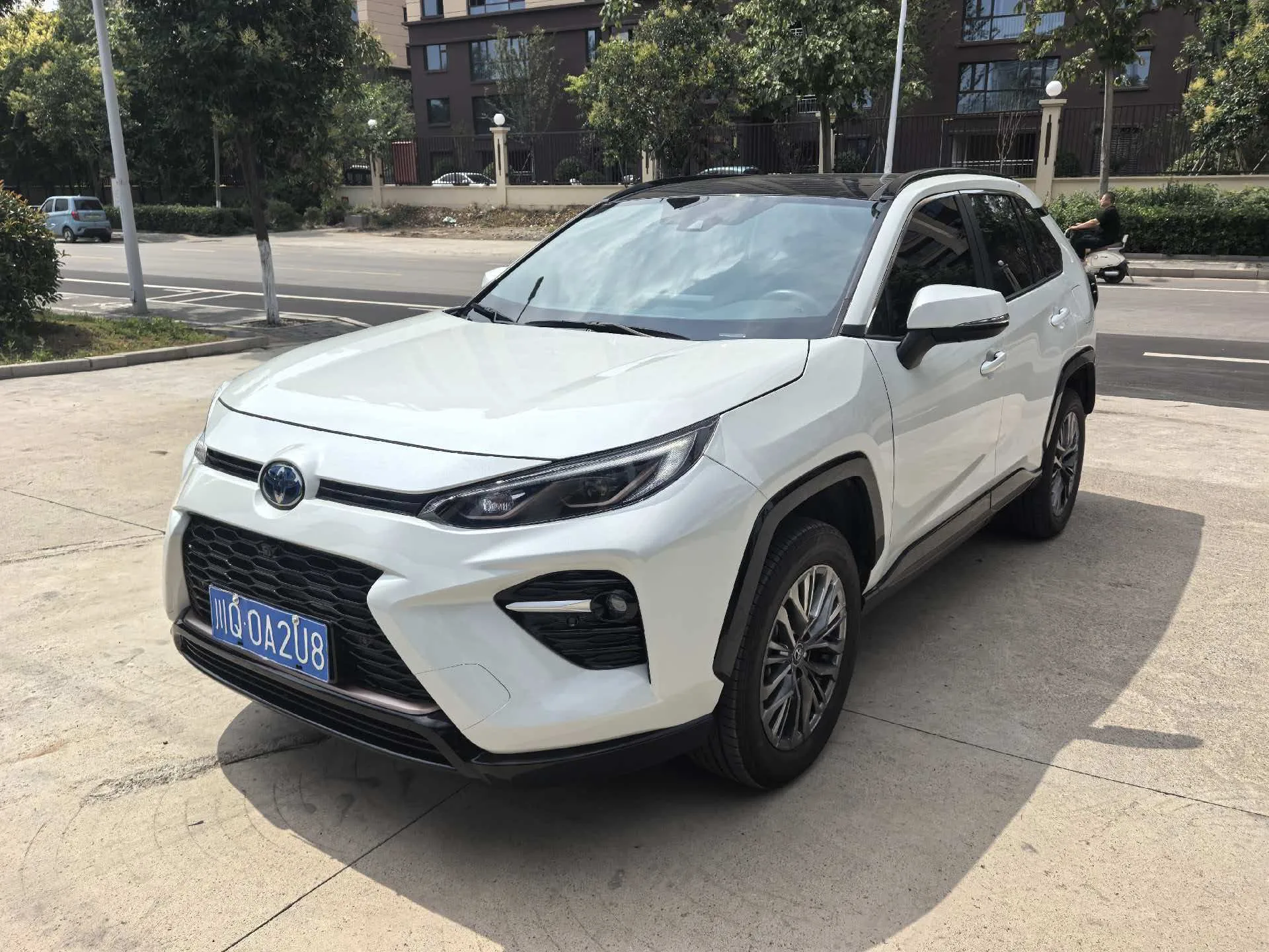 Toyota 2024 Vellfire Hybrid 2.5 CVT 2WD Luxury PLUS Edition, Automatic Transmission