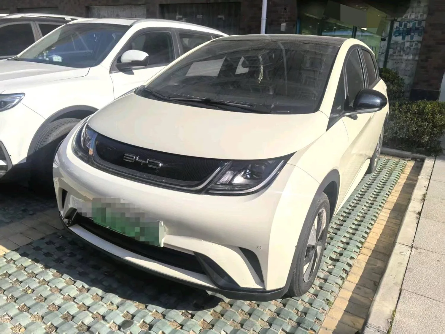 BYD 2023 Dolphin 420km Fashion Edition Automatic