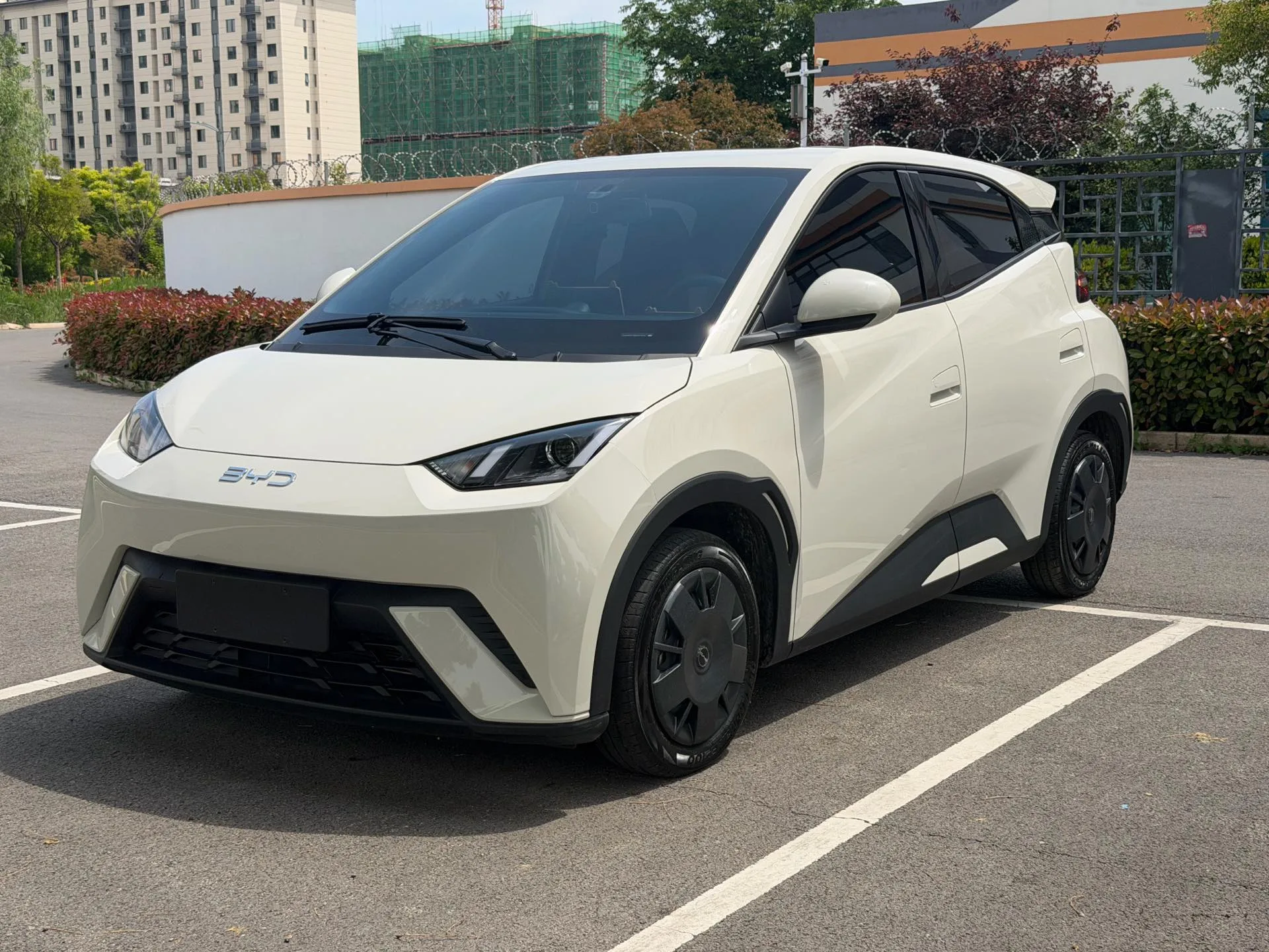 BYD 2023 Seagull Vitality Edition Automatic