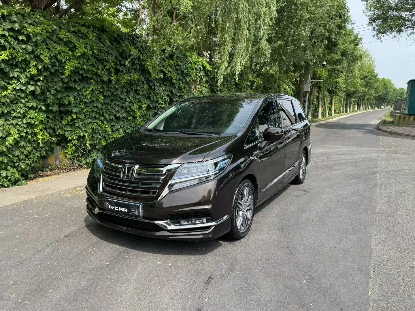 Элизиан 2019 2,0 l Гибридный Роскошь Версия
