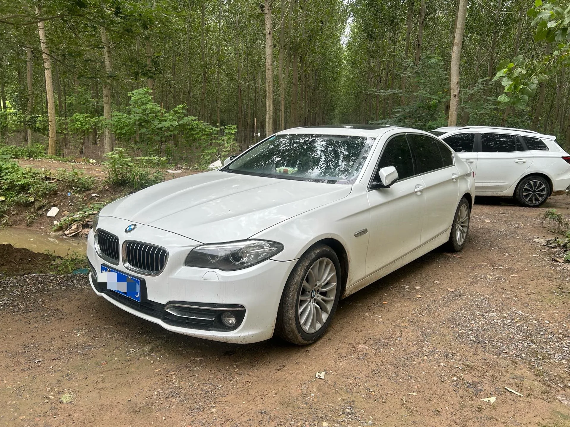 2017 BMW 5 Series 525Li Luxury Design Package
