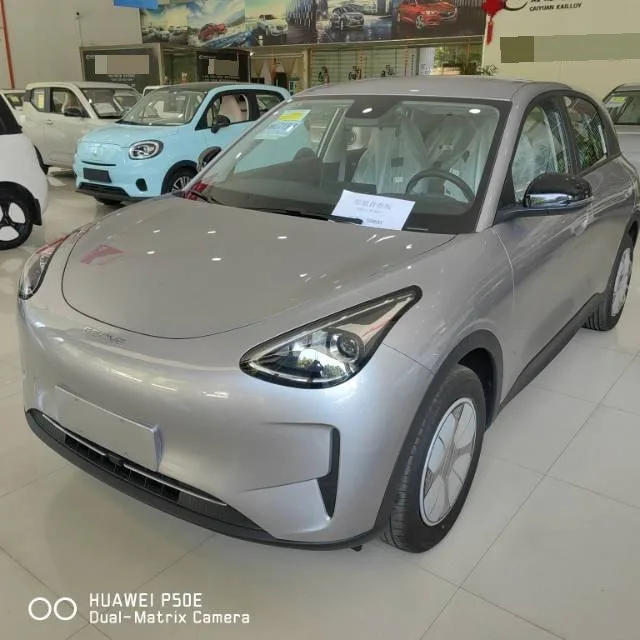 Star Wish 2026 Model 310km Youth Edition