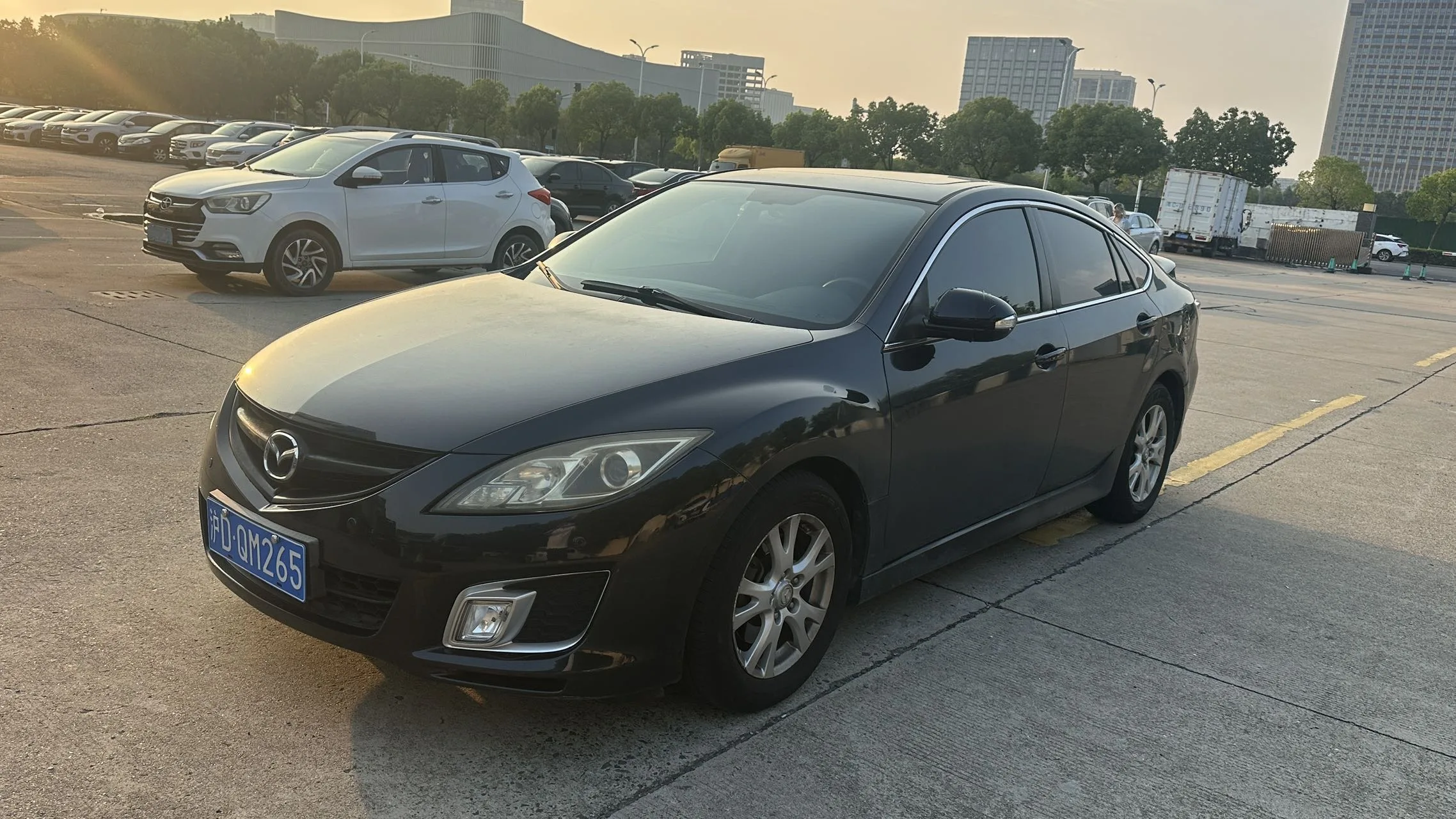 Ruiyi 2010 Coupe 2.0L Automatic Luxury Edition