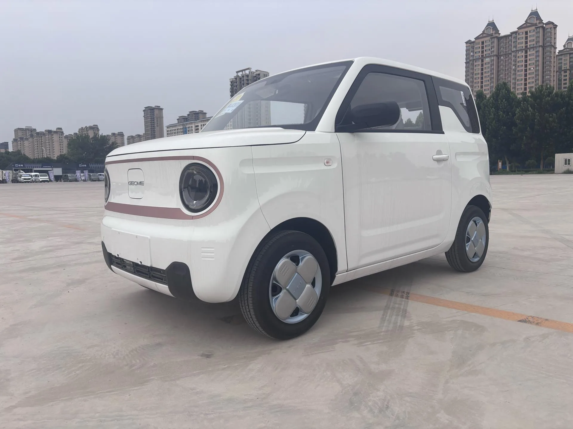Panda 2024 Panda Mini 200km Endurance Bear