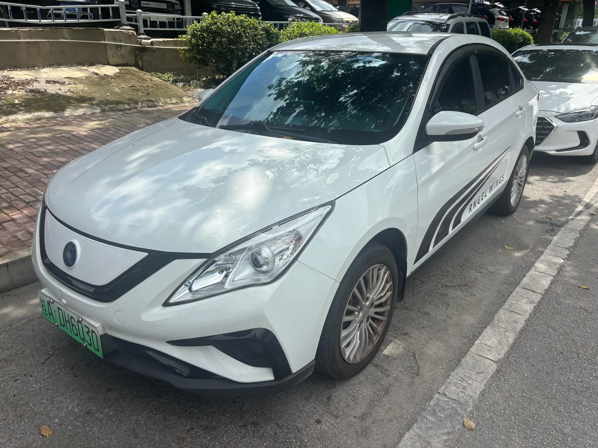 2021 Fengxing S50EV Commercial Model