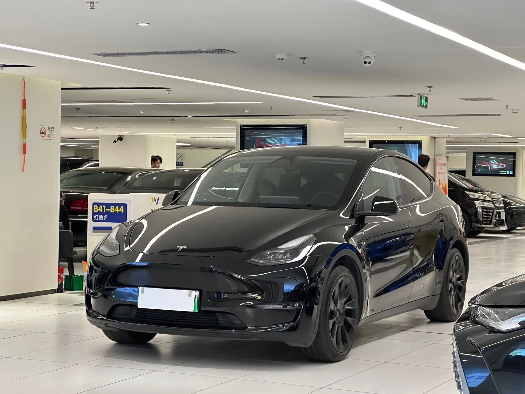Model Y 2021 Standard Range Rear-Wheel Drive