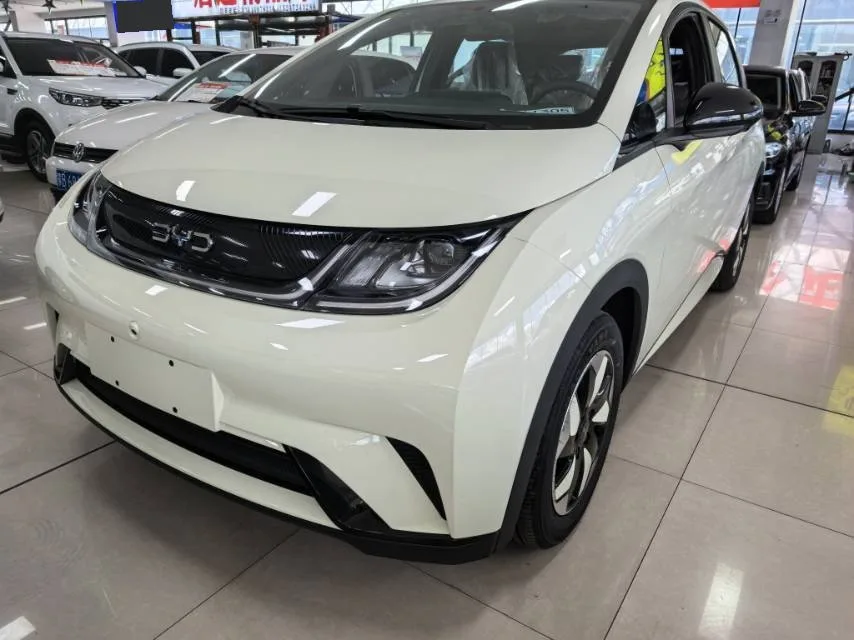 BYD 2025 Dolphin Smart Driving Edition 420km Freedom Edition Automatic Transmission