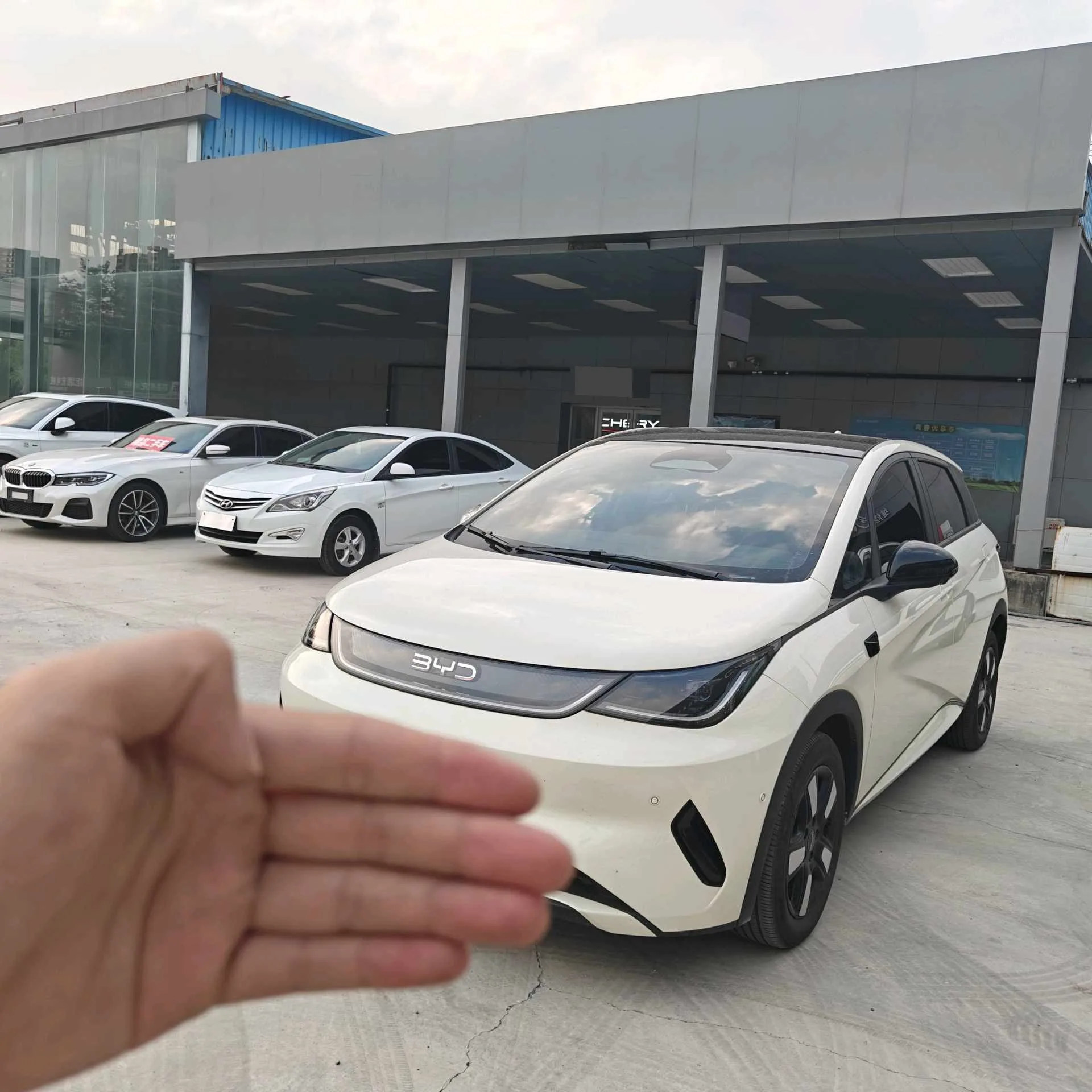 BYD 2025 Dolphin Smart Driving Edition 410km Fashion Edition Automatic