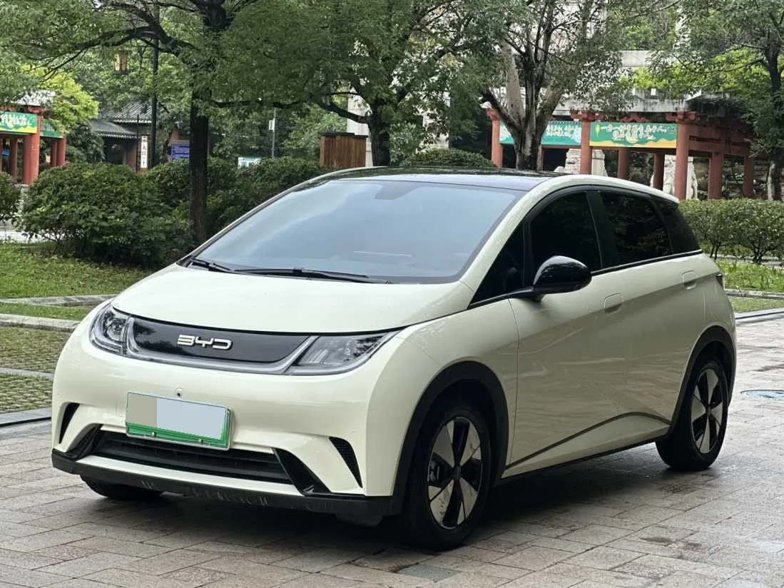 BYD 2023 Dolphin 420km Fashion Edition Automatic