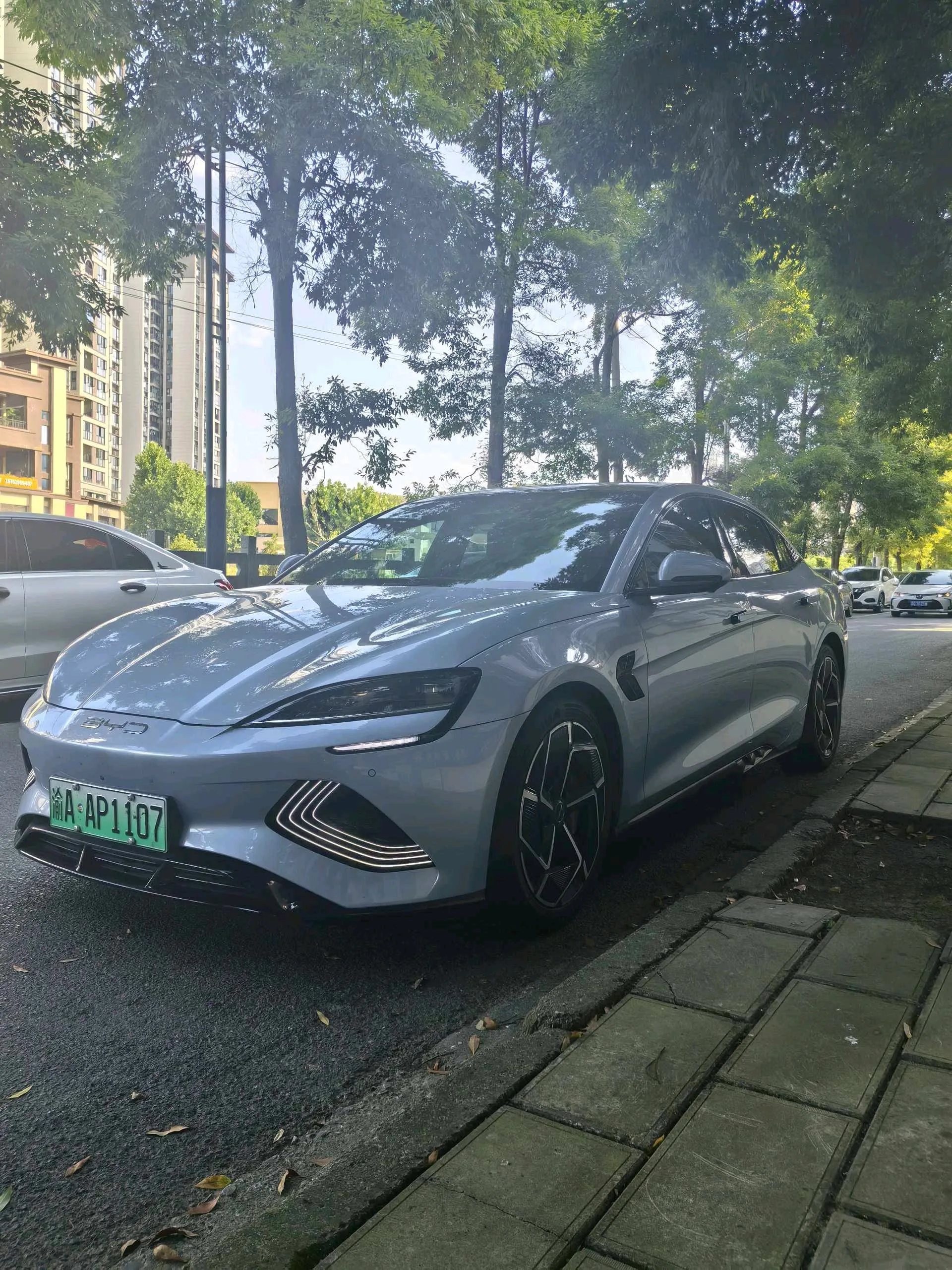 Seal 2022 Model 700km Long-Range Rear-Wheel-Drive Version