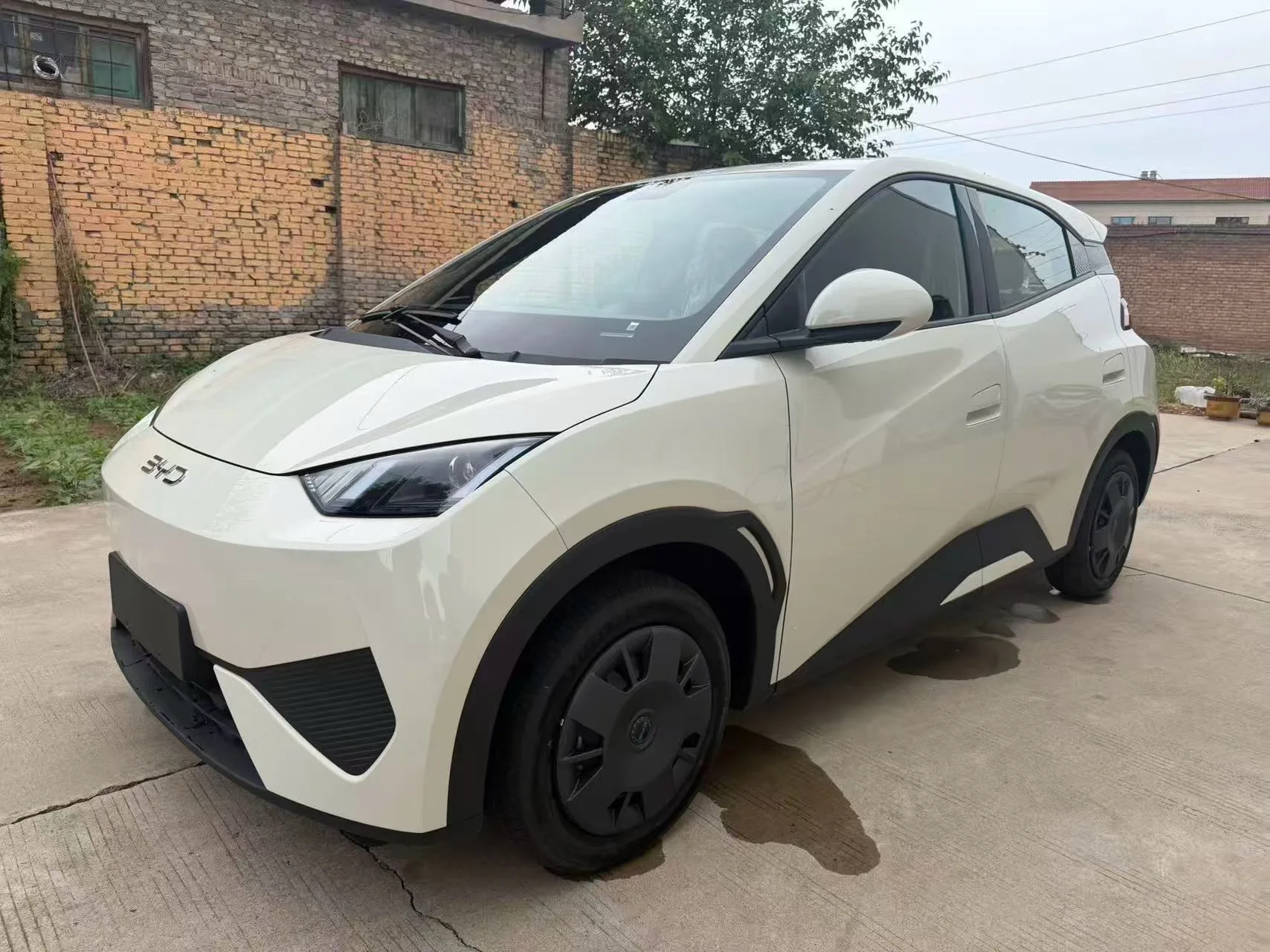 BYD 2025 Seagull 305km/h Vitality Edition Automatic