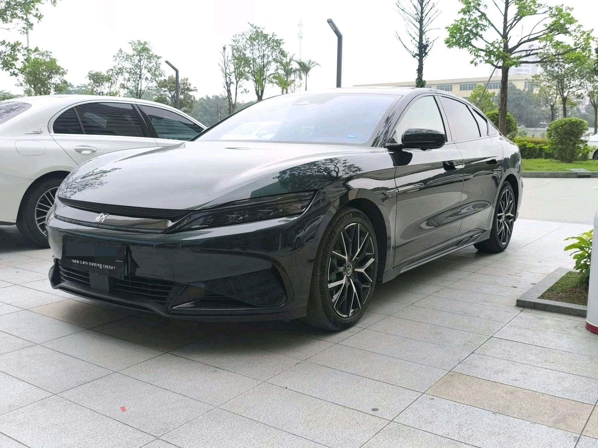 Han 2022 EV 610KM 4WD Thousand Mountains Green Limited Edition
