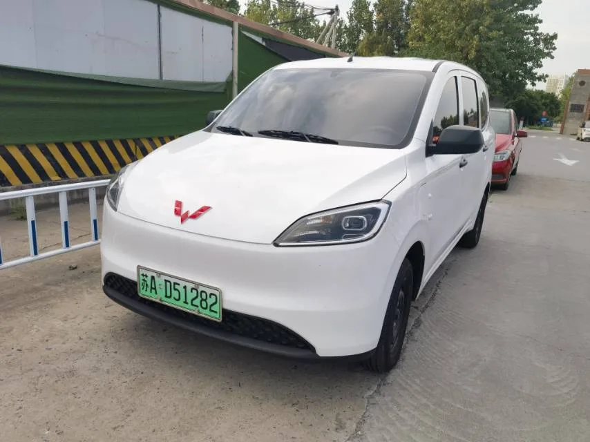 Wuling 2024 Hongguang EV 300KM Practical Automatic