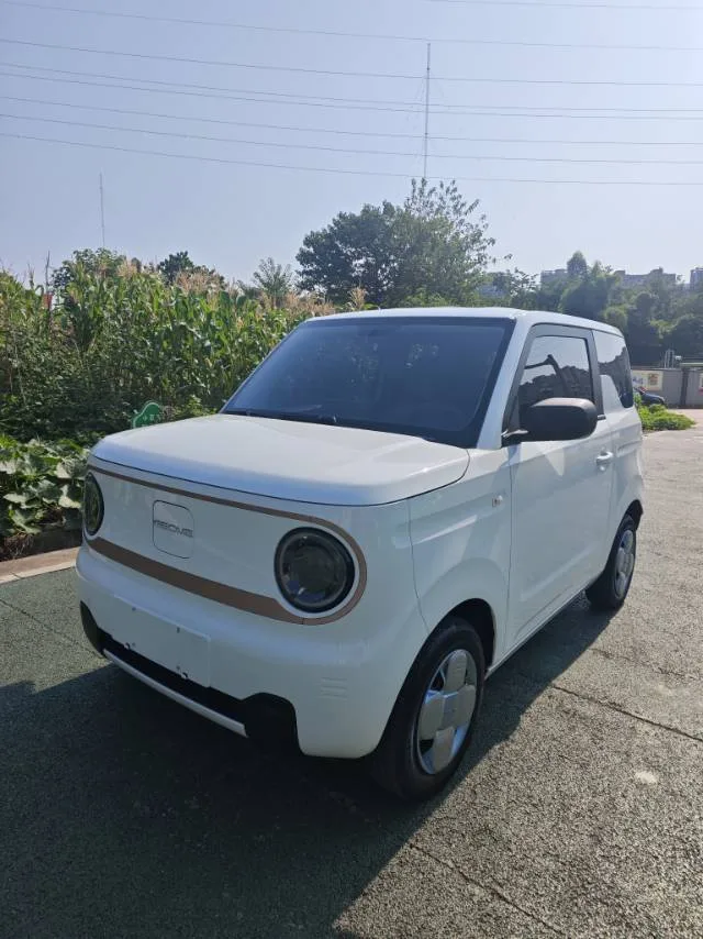 Panda 2024 Model 200km Panda Rider