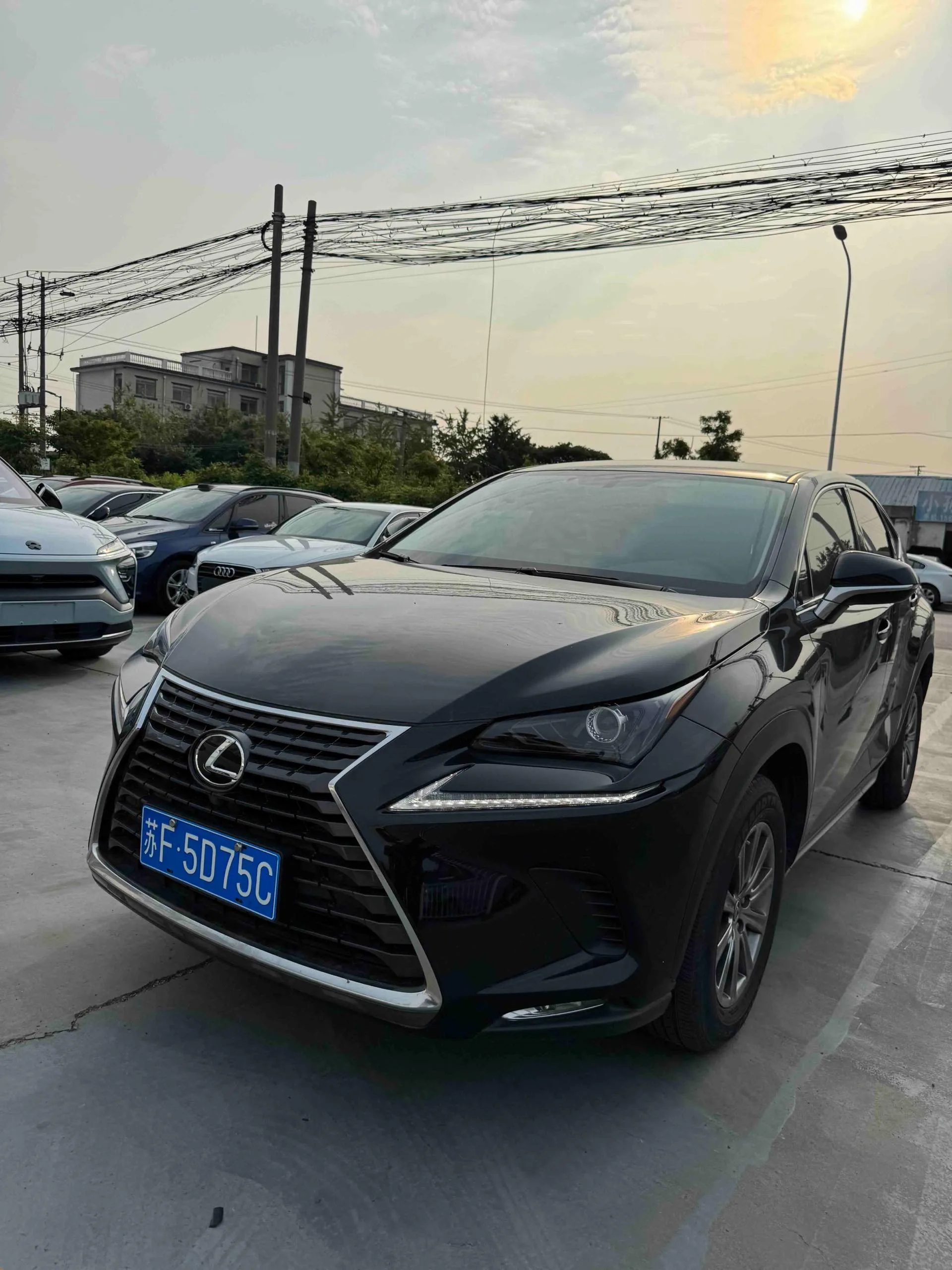 2020 Lexus NX 200 FWD "Fengxing" Edition, China V Emission Standard