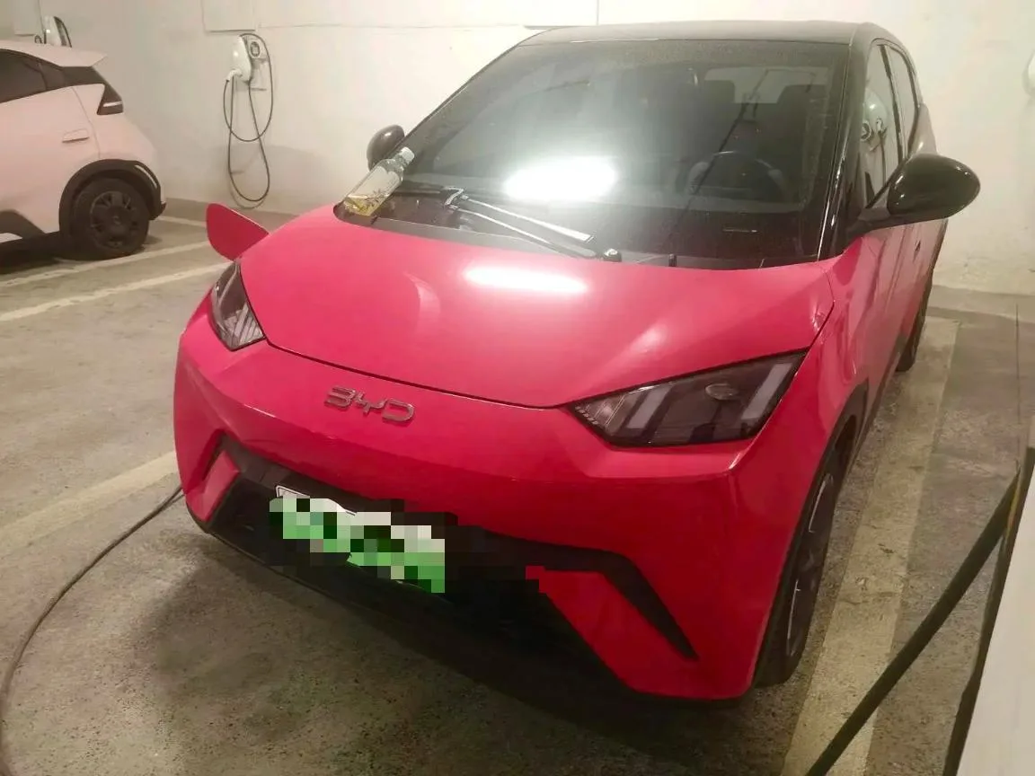 BYD 2024 Seagull Glory Edition 405km/h Flying Edition Automatic Transmission