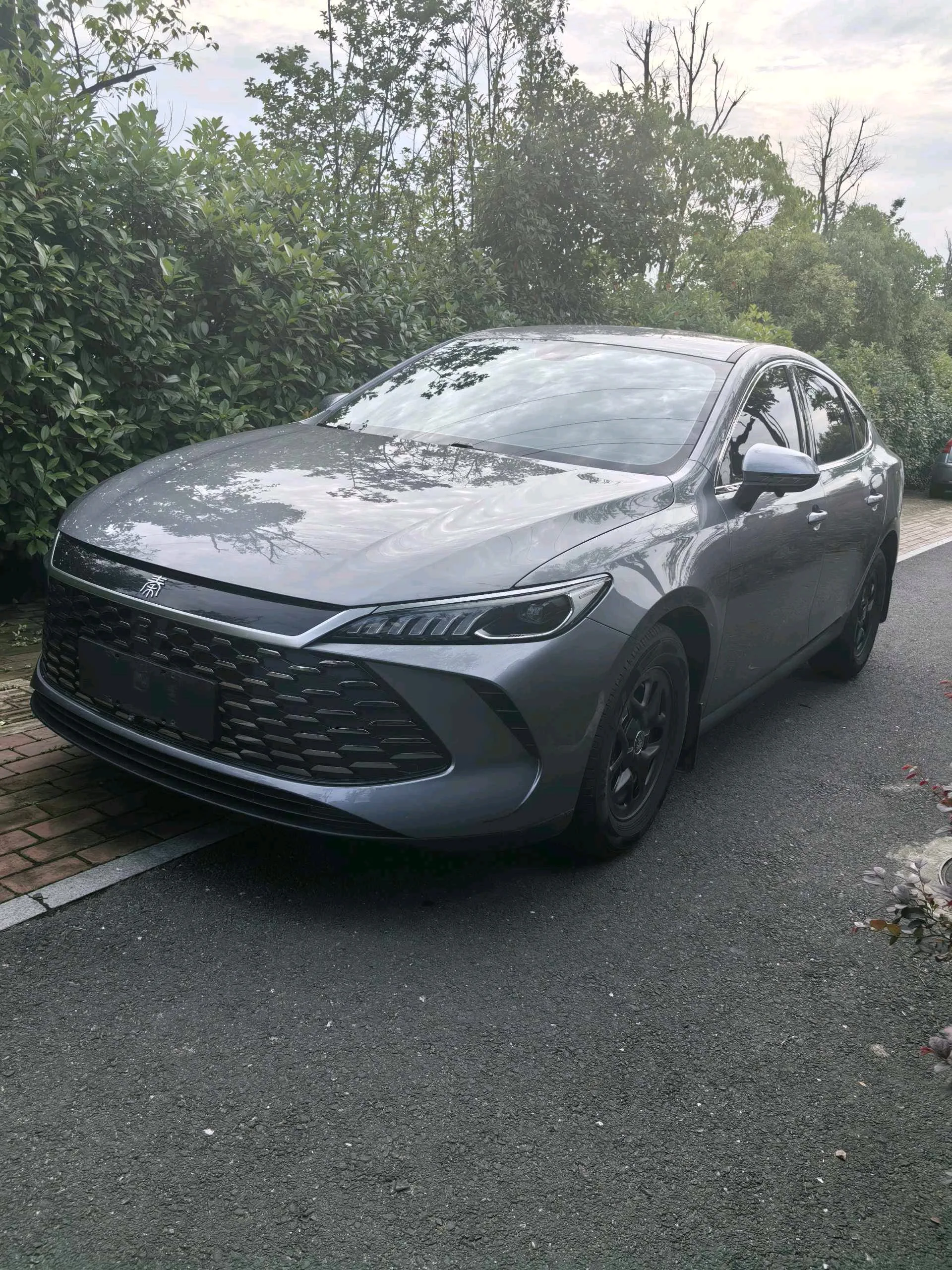 Seal 05 DM-i 2025 DM-i Intelligent Driving Edition 55KM Luxury Model