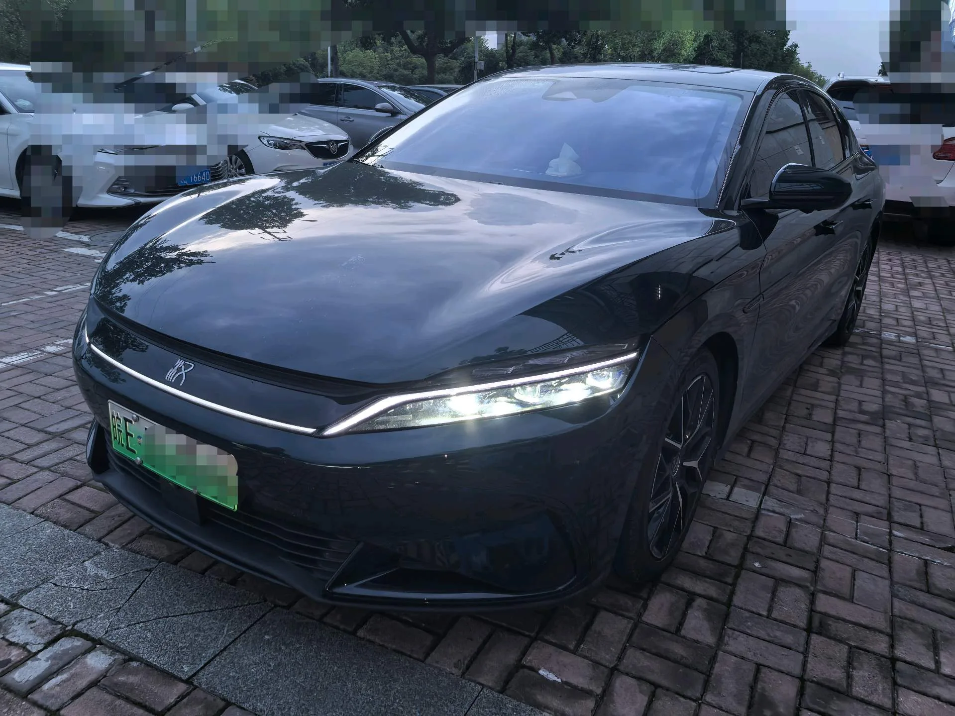 Han 2022 EV 610KM 4WD Thousand Mountains Green Limited Edition