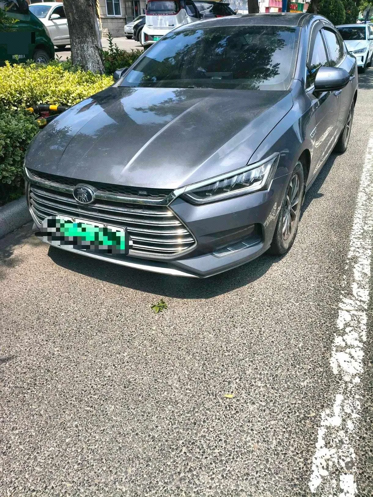 Qin Pro New Energy 2019 Model Year DM 1.5TI Automatic Navigation Edition