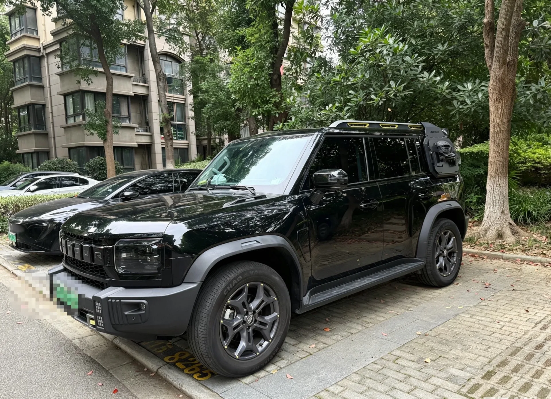 Jetour Mountain & Sea T2 2024 C-DM 129KM Forest Edition