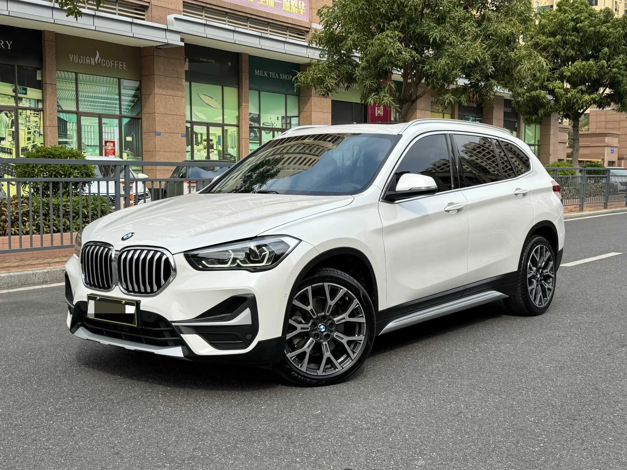 BMW X1 2020 xDrive25Li Premium