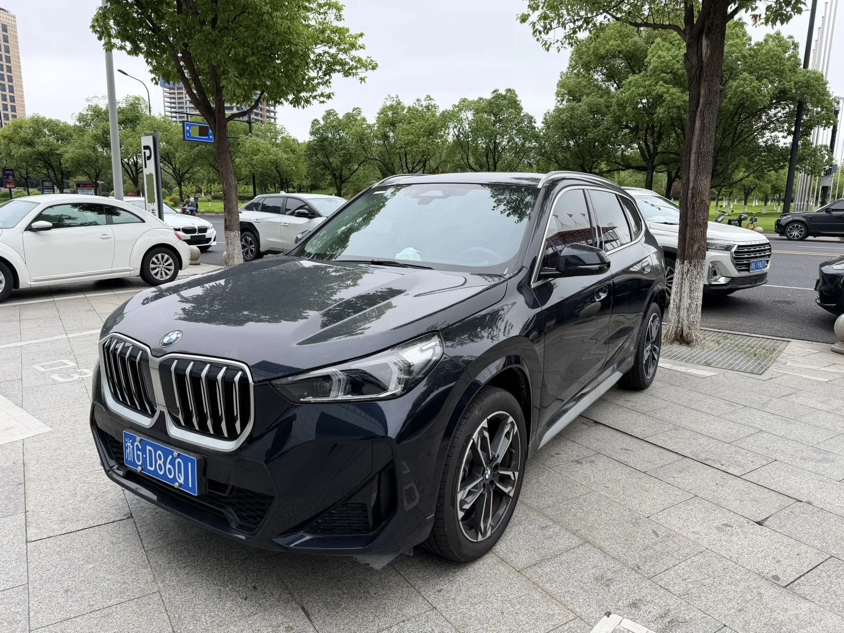 BMW 2025 X1 sDrive25Li 2,0 Т X Дизайн Упаковка Автоматический