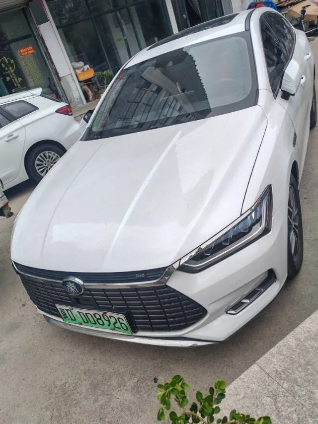 Qin Pro New Energy 2018 EV500 Smart Connect Leading Edition