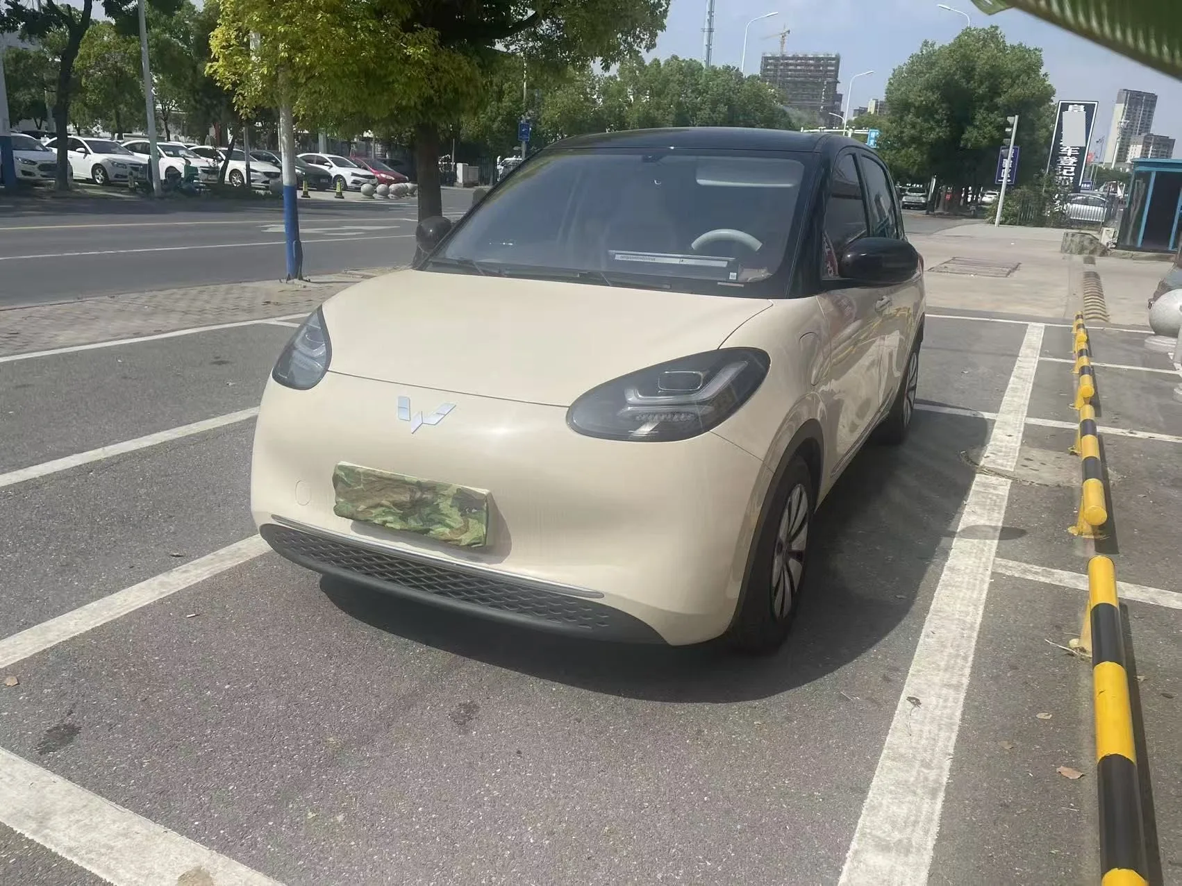 Wuling 2025 Bingo 333km Smart Connect Edition Automatic
