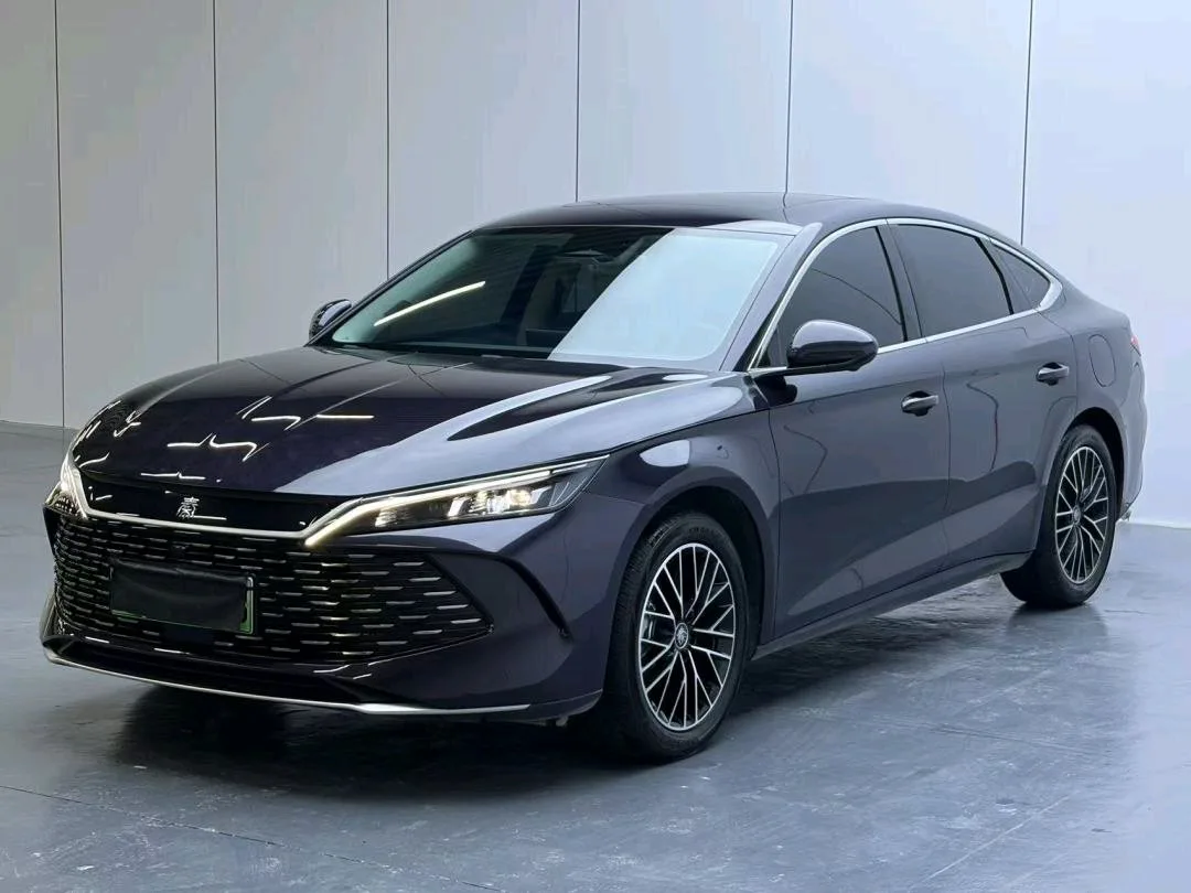 Qin L 2024 DM-i 120KM Excellent Edition