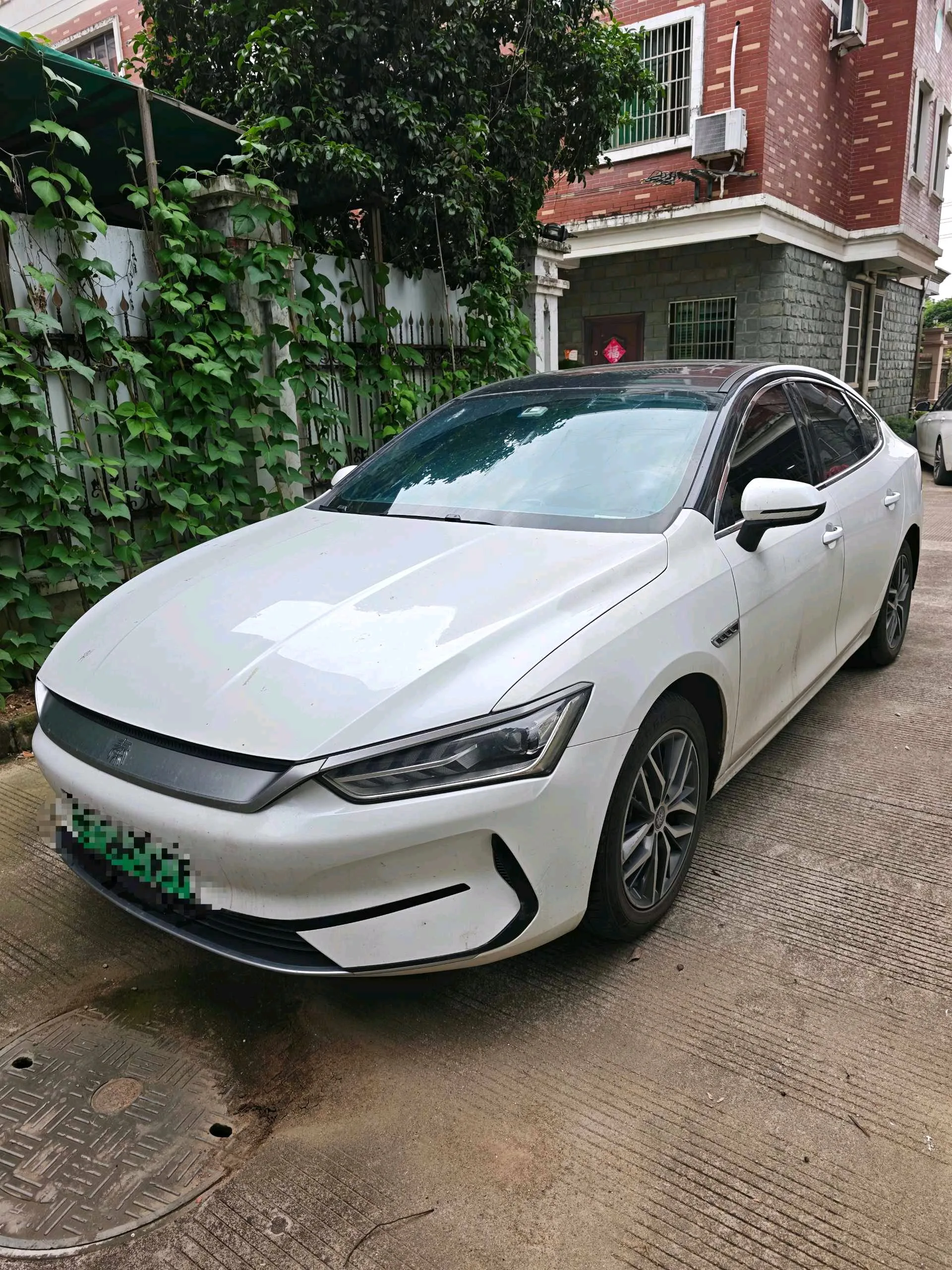 Qin PLUS 2021 EV 500KM Luxury Edition