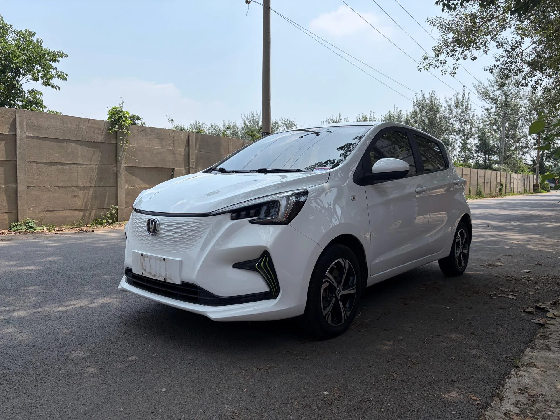 2020 Benben E-Star "Xinyue" Edition with Ternary Lithium Battery