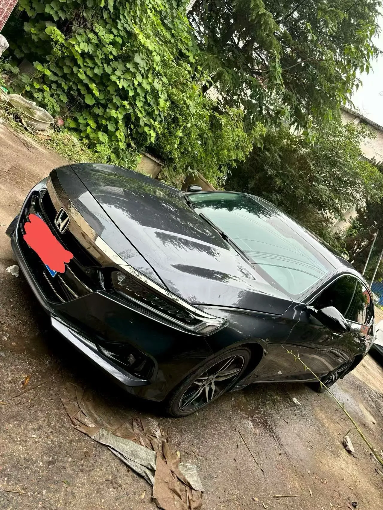 Accord 2022 260TURBO Phantom Night Premium Edition