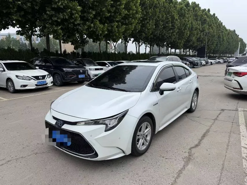 Levin 2021 Hybrid 1.8H E-CVT Luxury Edition
