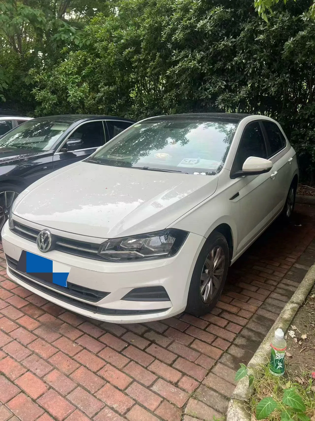 2019 Polo Plus 1.5L Automatic Colorful Technology Edition