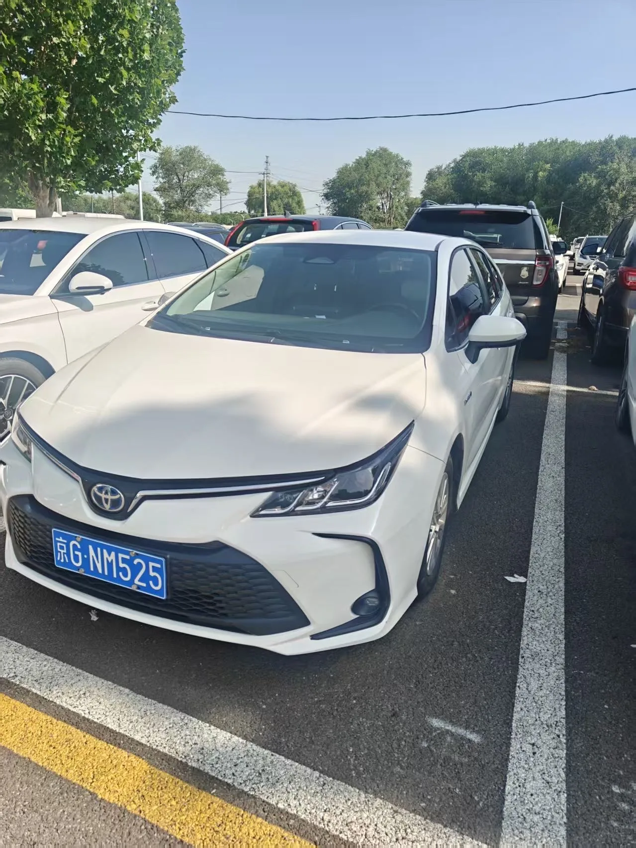 Toyota 2023 Corolla Hybrid 1.8 CVT Intelligent Electric Hybrid Pioneer Edition Automatic Transmission