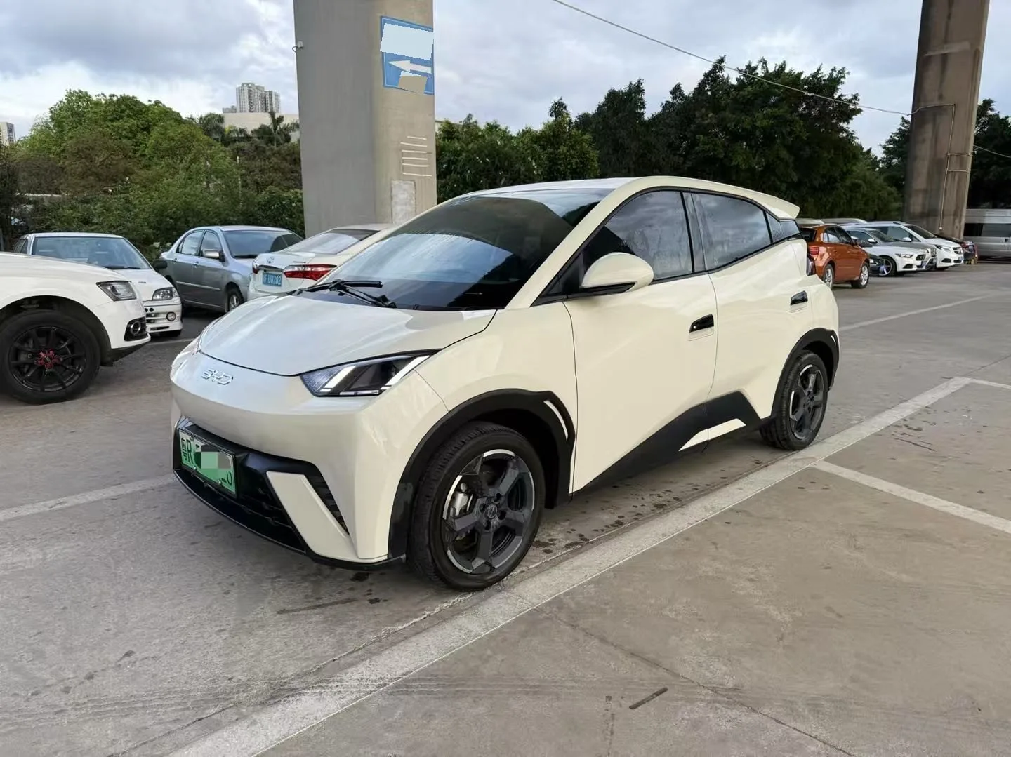 BYD 2023 Seagull Vitality Edition Automatic