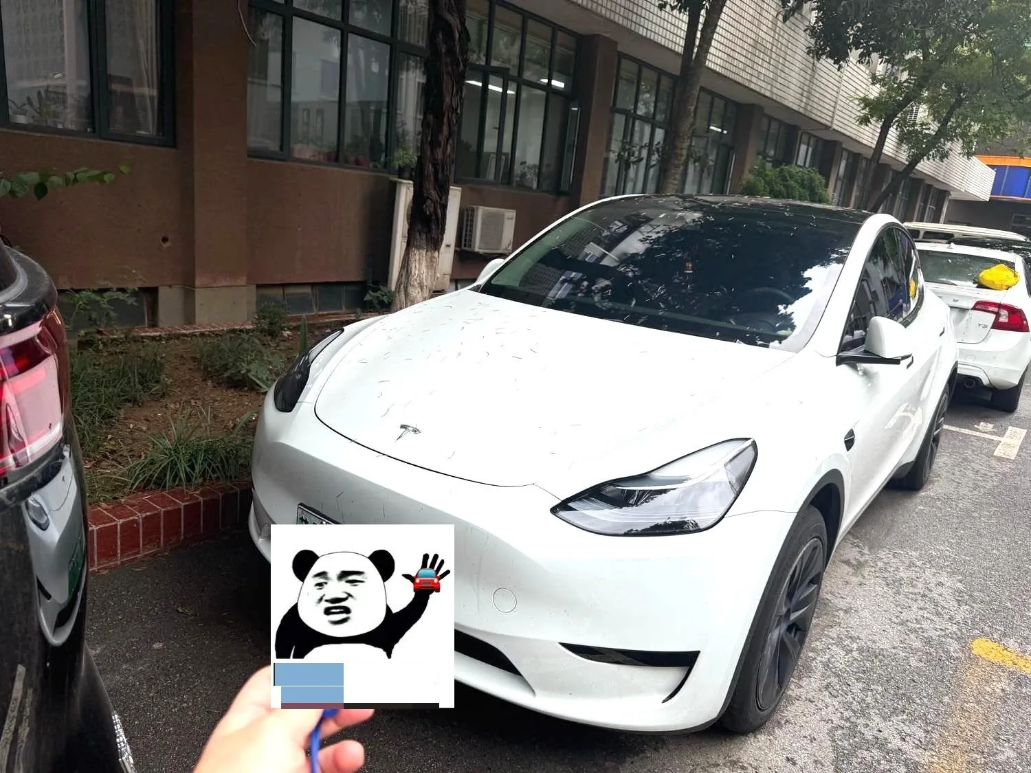 Model Y 2022 Facelift Rear-Wheel Drive Version