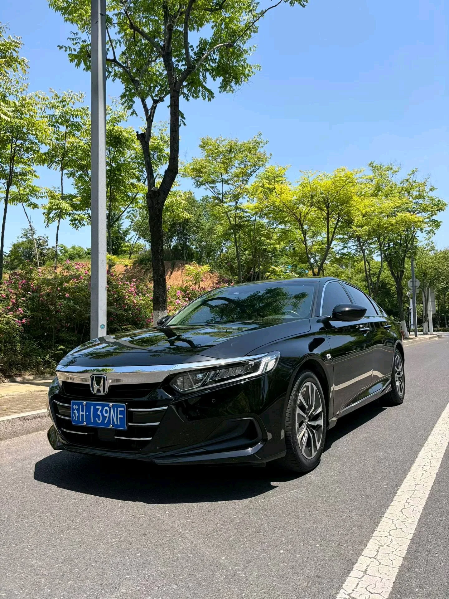 2022 Honda Accord Sharp Hybrid 2.0L Sharp Cool Edition
