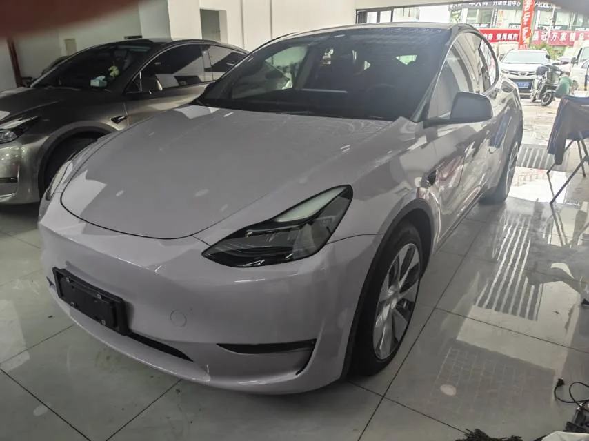 Model Y 2021 Standard Range Rear-Wheel Drive