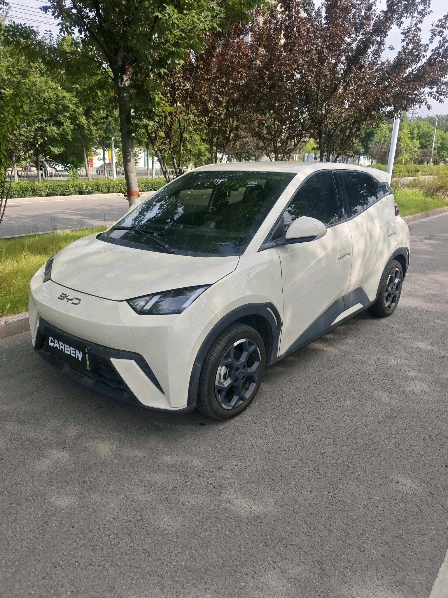 BYD 2025 Seagull 405km/h Flying Edition Automatic