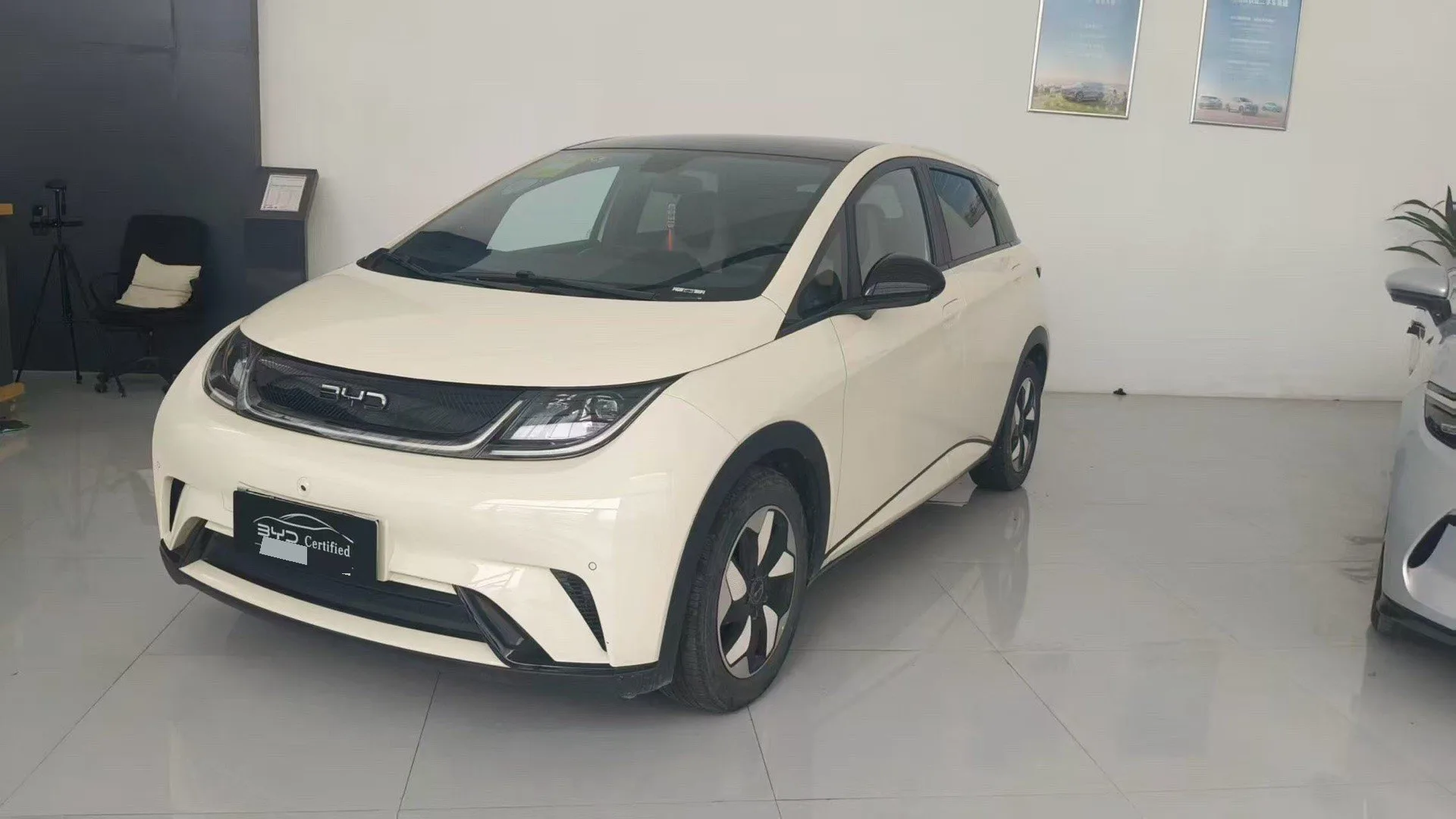 BYD 2024 Dolphin Glory Edition 420km/h Fashion Edition Automatic