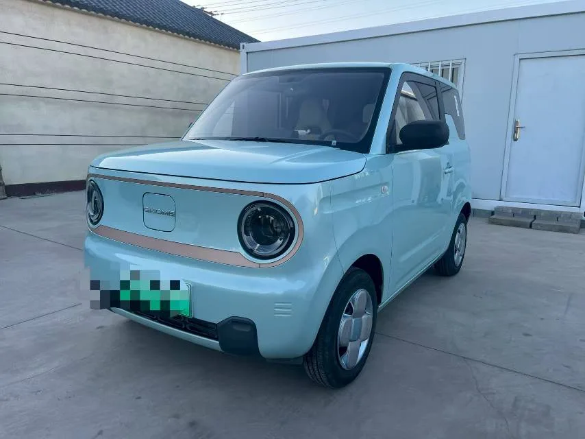 Panda 2024 Panda Mini 200km Endurance Bear