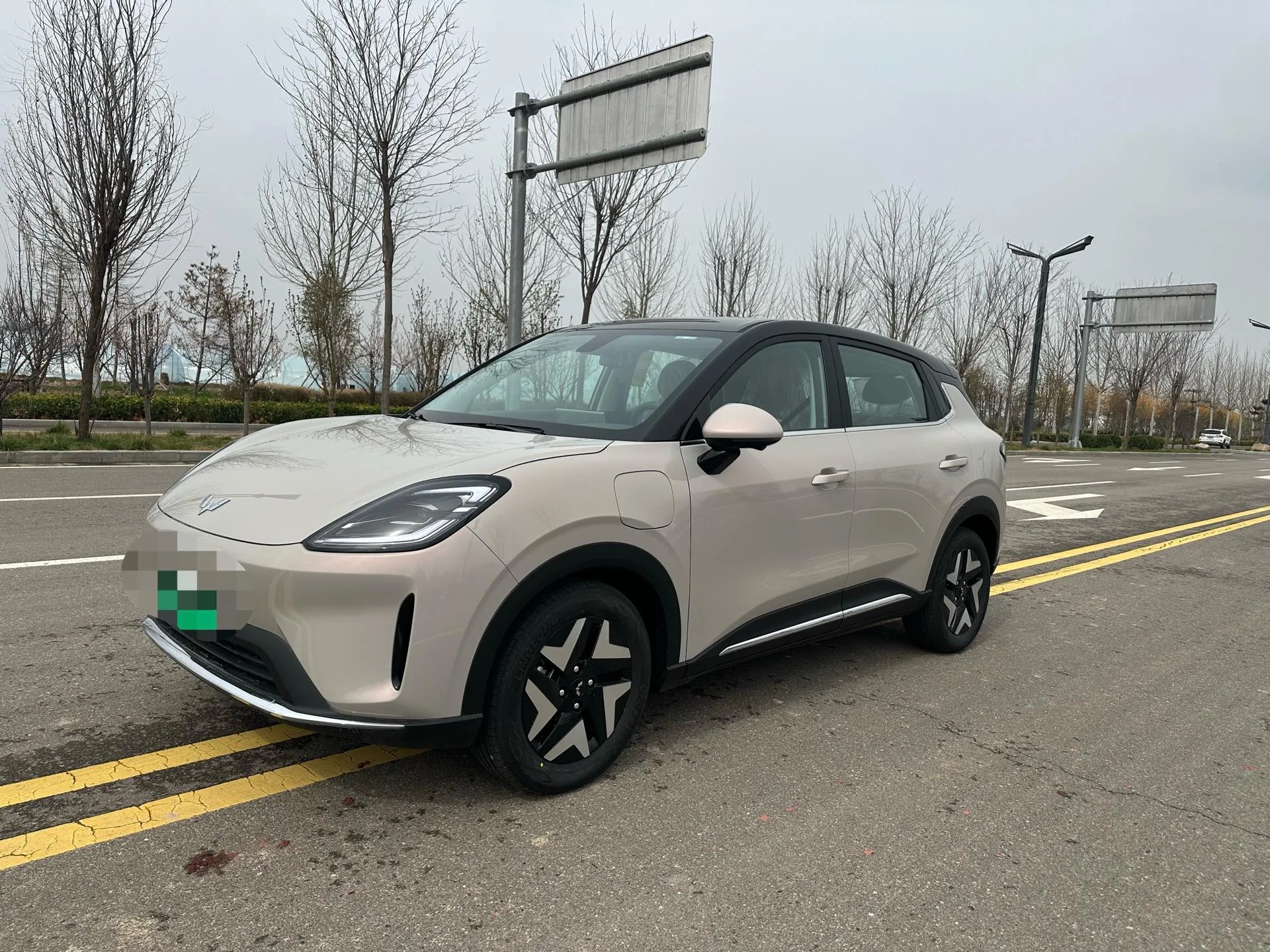 Bingo S 2025 Model 325km Premium Edition