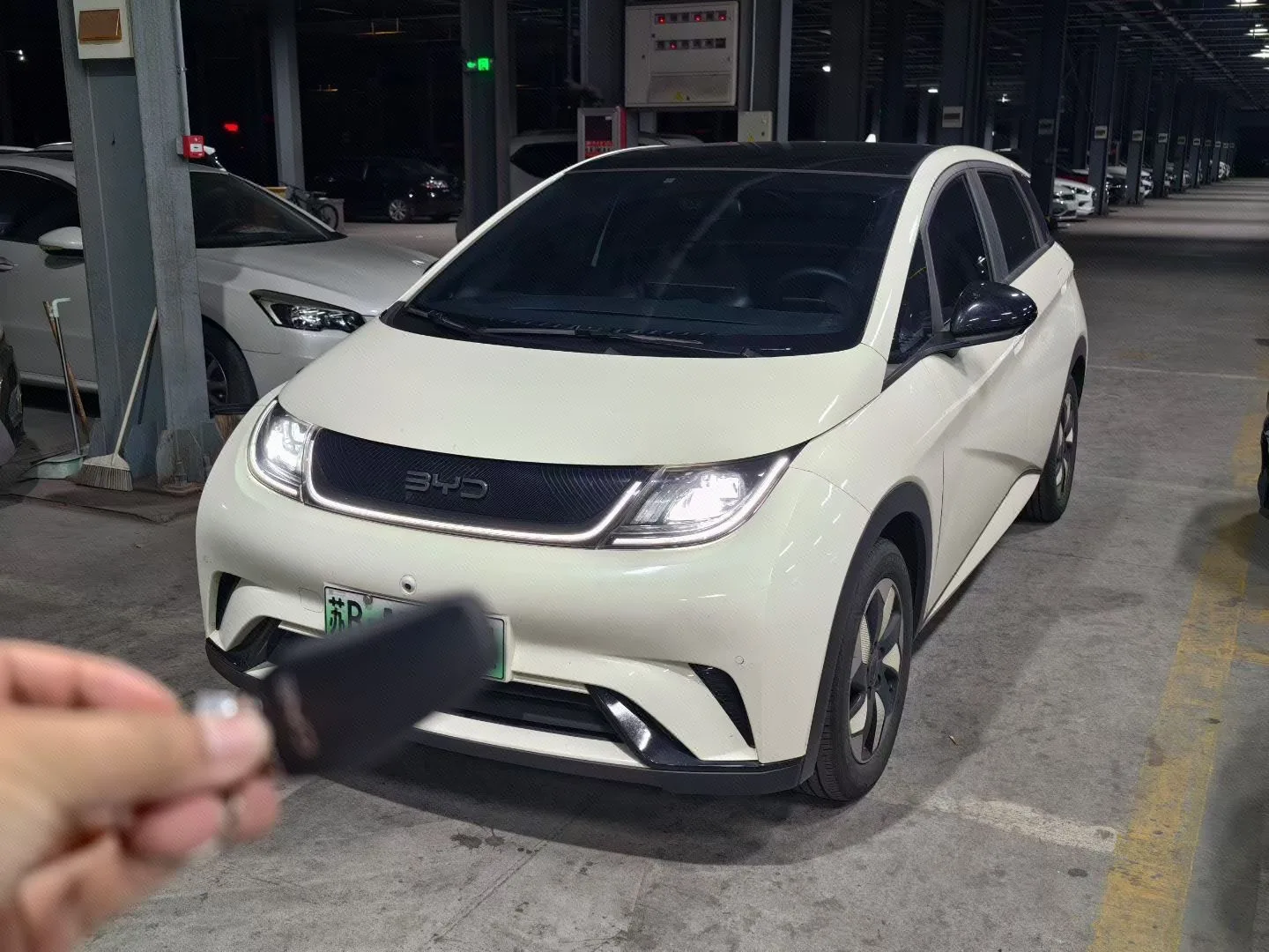 BYD 2024 Dolphin Glory Edition 420km/h Fashion Edition Automatic