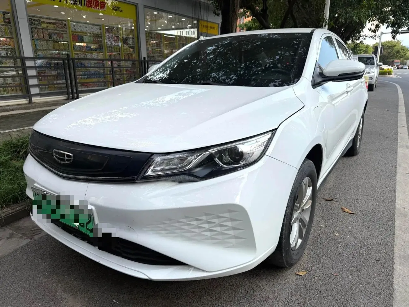 Emgrand New Energy 2022 EV Pro Commercial Taxi Model