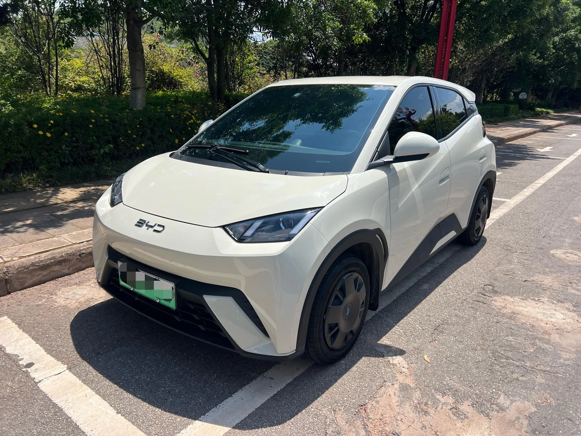 BYD 2024 Seagull Glory Edition 305km/h Vitality Edition Automatic