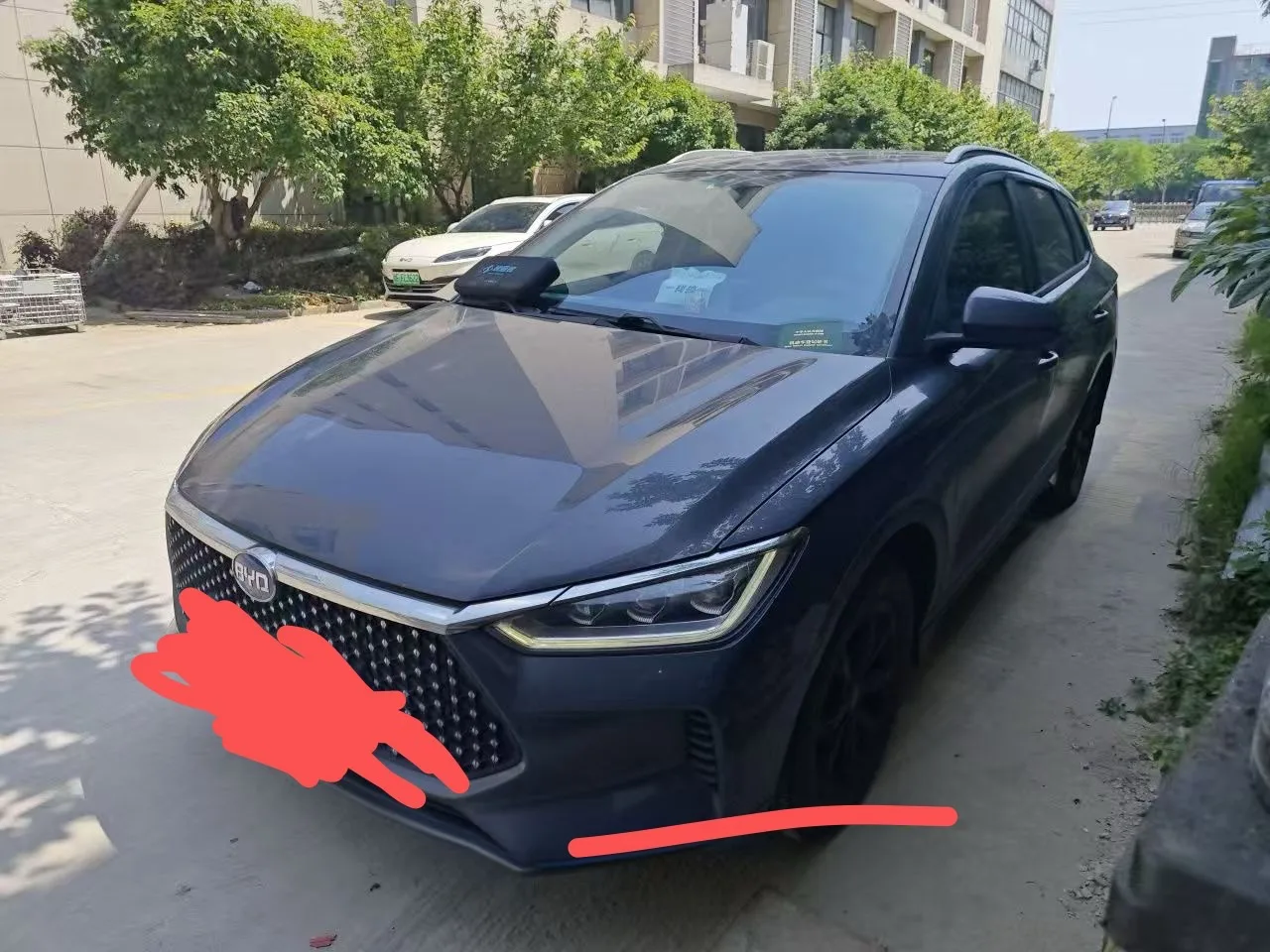 BYD e2 2019 Standard Range Smart & Comfort Edition