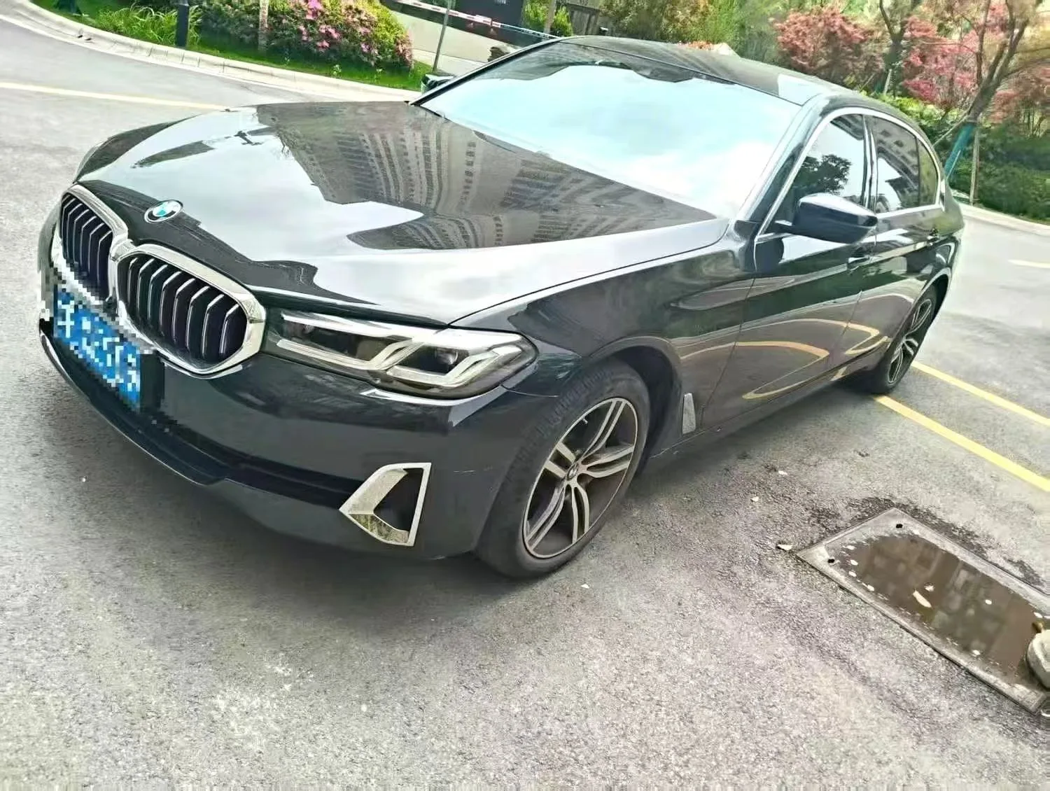 BMW 5 Series 2021 530Li Leading Luxury Package