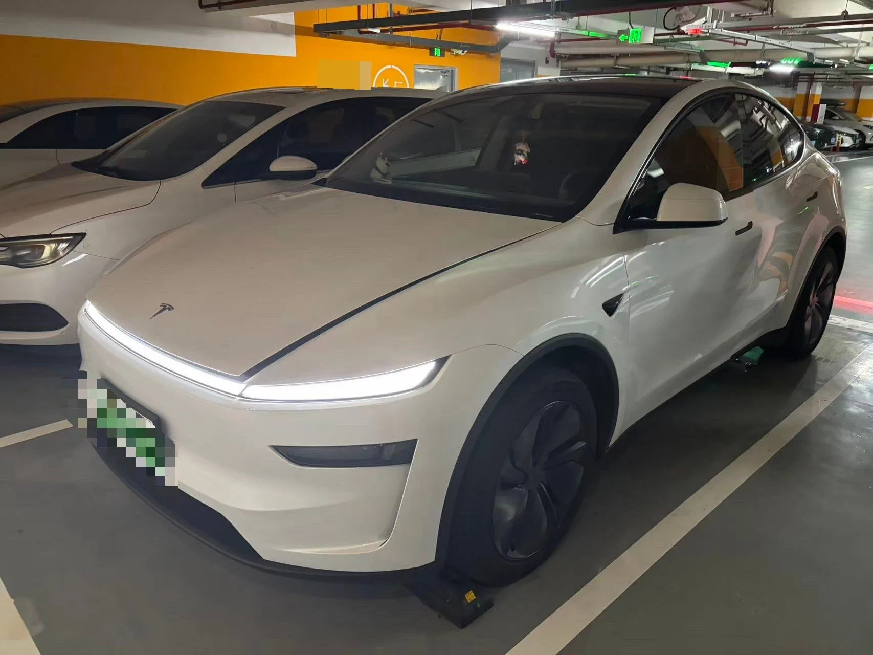 Tesla 2026 Model Y Long Range Rear-Wheel Drive Automatic