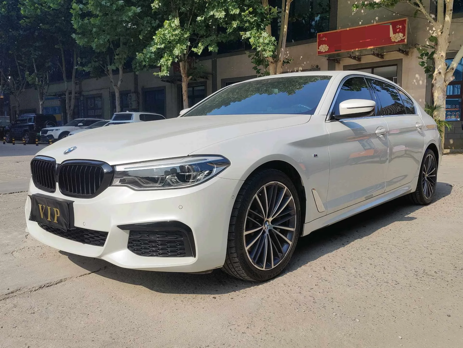 2020 BMW 5 Series 530Li Leading Edition M Sport Package